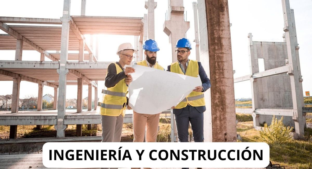 ingeniería y cons