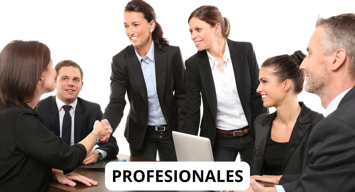 profesionales